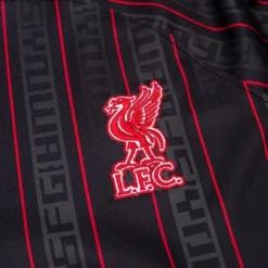 Nike Liverpool Trikot 2023 LeBron X Liverpool FC Special Edition Damen -Tentree shop 0989a9e6d979