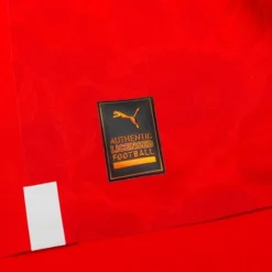 Puma Schweiz Heimtrikot Liberty Frauen EM 2022 Authentic Damen -Tentree shop 0b974e4ff2e3