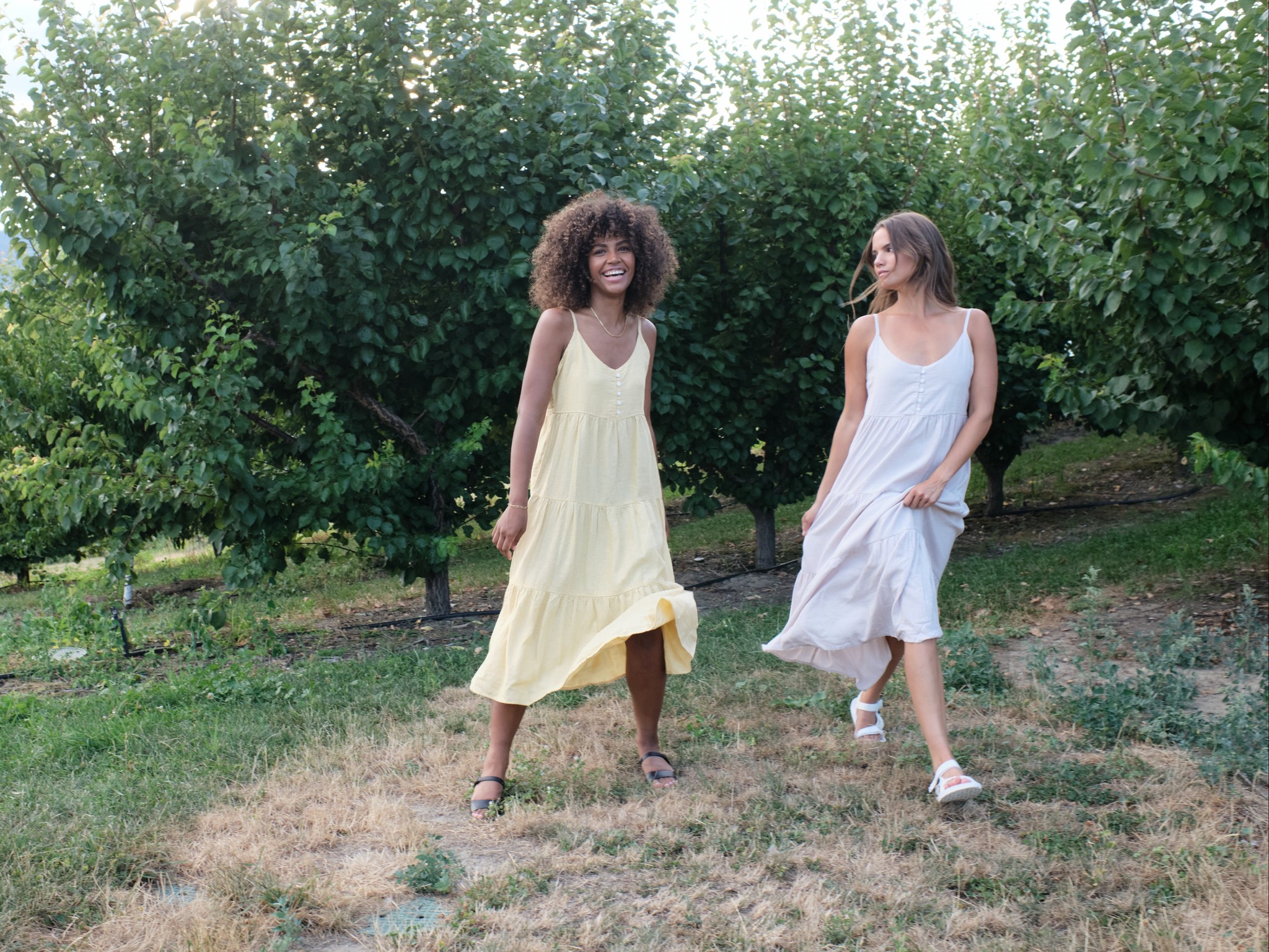 Tentree shop -Tentree shop 346828585 1734326607087365 787977256603078261 n