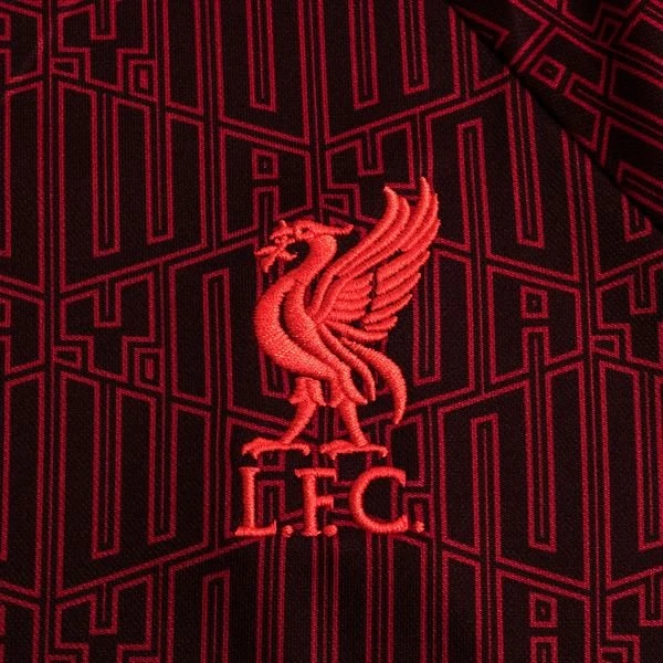 Nike Liverpool Training T-Shirt Pre Match - Rot/Bordeaux/Rot Damen 3 Nike Liverpool Training T-Shirt Pre Match - Rot/Bordeaux/Rot Damen – Bild 3