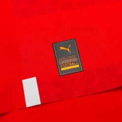 Puma Österreich Heimtrikot Liberty Frauen EM 2022 Authentic Damen -Tentree shop 48aefb2f856a