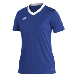 Adidas Training T-Shirt Entrada 22 - Blau Damen