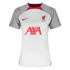 Nike Liverpool Training T-Shirt Dri-FIT Strike - Grau/Smoke Grau/Rot Damen
