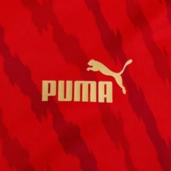 Puma Marokko Heimtrikot Women's World Cup 2023 Damen -Tentree shop 5b08baf7778b