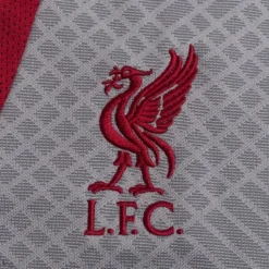 Nike Liverpool Trainingsshorts Dri-FIT Strike - Smoke Grau/Rot Damen -Tentree shop 5ec94b4665b0