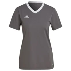 Adidas Training T-Shirt Entrada 22 - Grau Damen