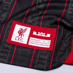 Nike Liverpool Trikot 2023 LeBron X Liverpool FC Special Edition Damen -Tentree shop 86f8c6c33f9a
