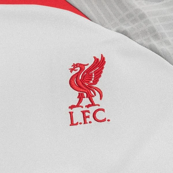 Nike Liverpool Training T-Shirt Dri-FIT Strike - Grau/Smoke Grau/Rot Damen 3 Nike Liverpool Training T-Shirt Dri-FIT Strike - Grau/Smoke Grau/Rot Damen – Bild 3