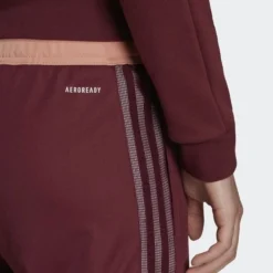 Adidas Trainingshose Tiro Winterized Cargo - Bordeaux Damen -Tentree shop cb0b8692d6f1