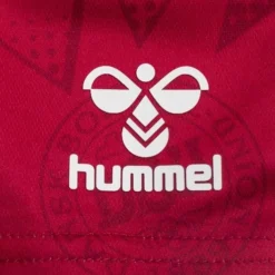 Hummel Dänemark Heimshorts 2023/24 Damen -Tentree shop d3fcbc8903f8