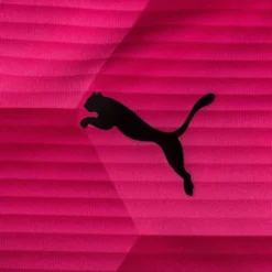 PUMA Trikot TeamFINAL 21 Graphic - Pink/Lila Damen -Tentree shop e8f9bd8d87c6