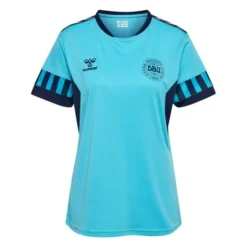 Hummel Dänemark Training T-Shirt Pro Women's World Cup 2023 - Blau/Navy Damen
